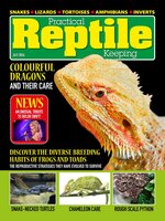 Practical Reptile Keeping